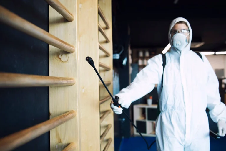 Professional cockroach extermination service in Canada by SafeGuard Pest Control