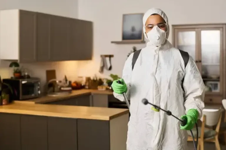 Pest Control Smiths Falls